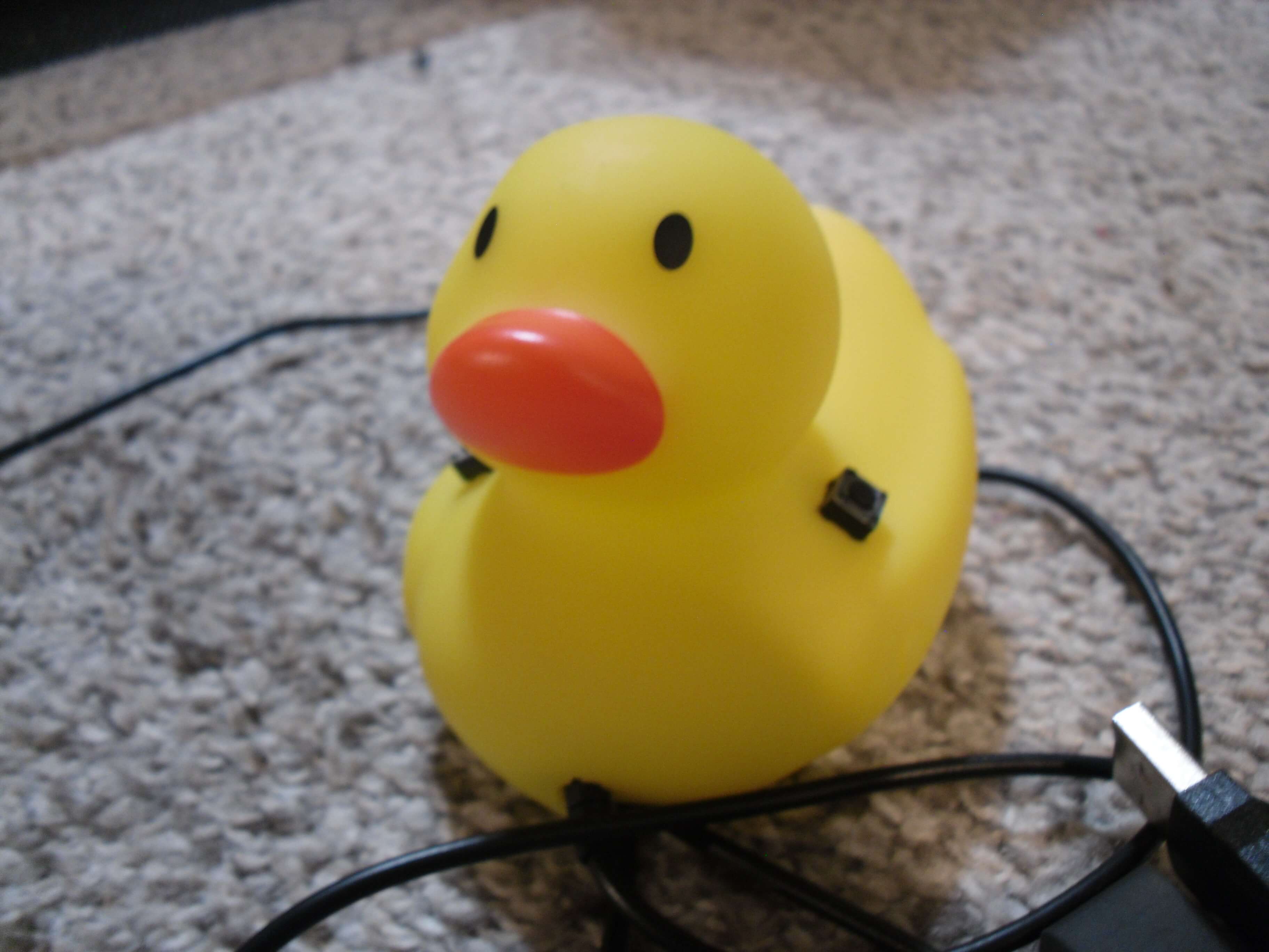 The douse with the cable around it