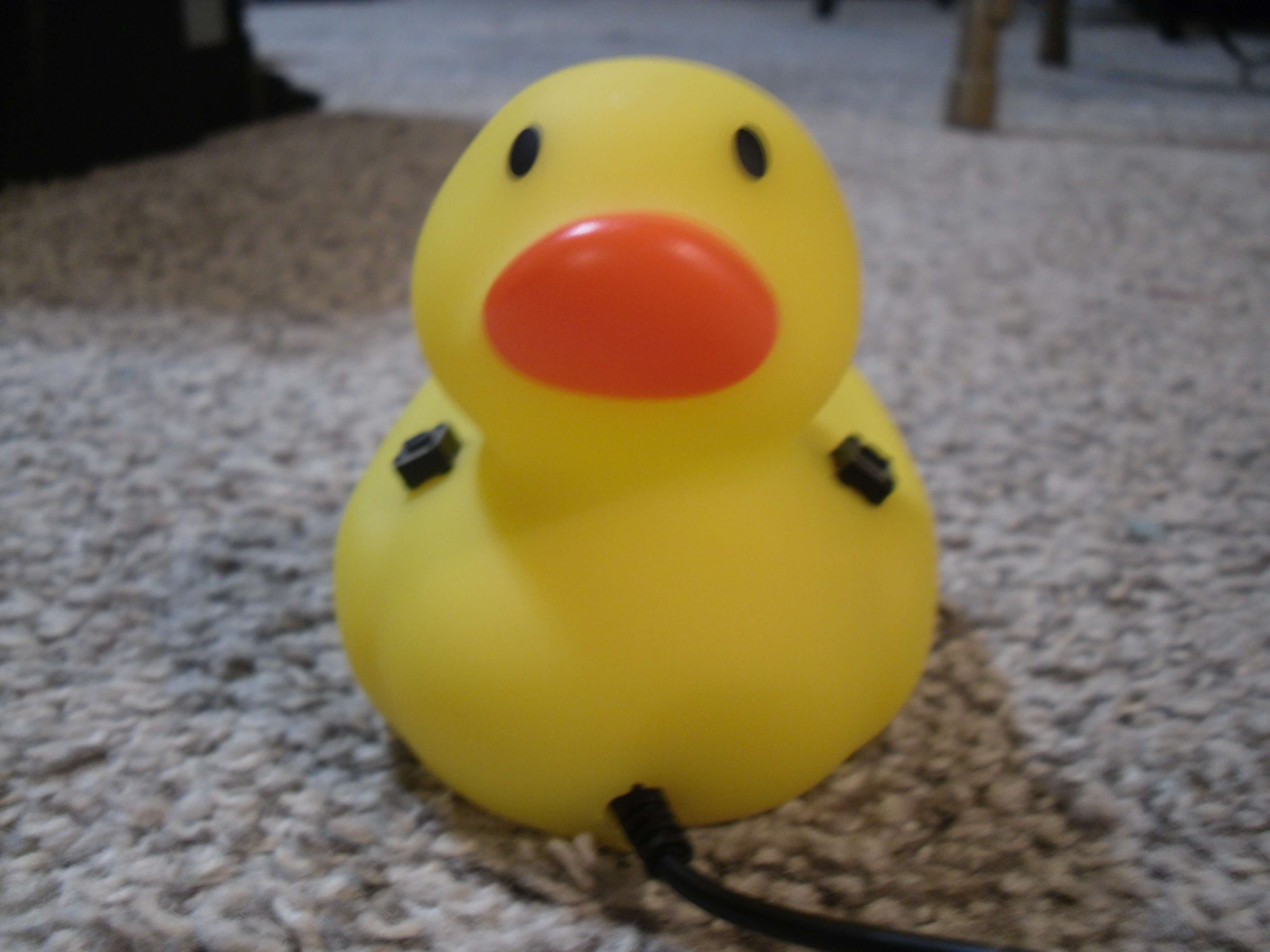 The douse from the front