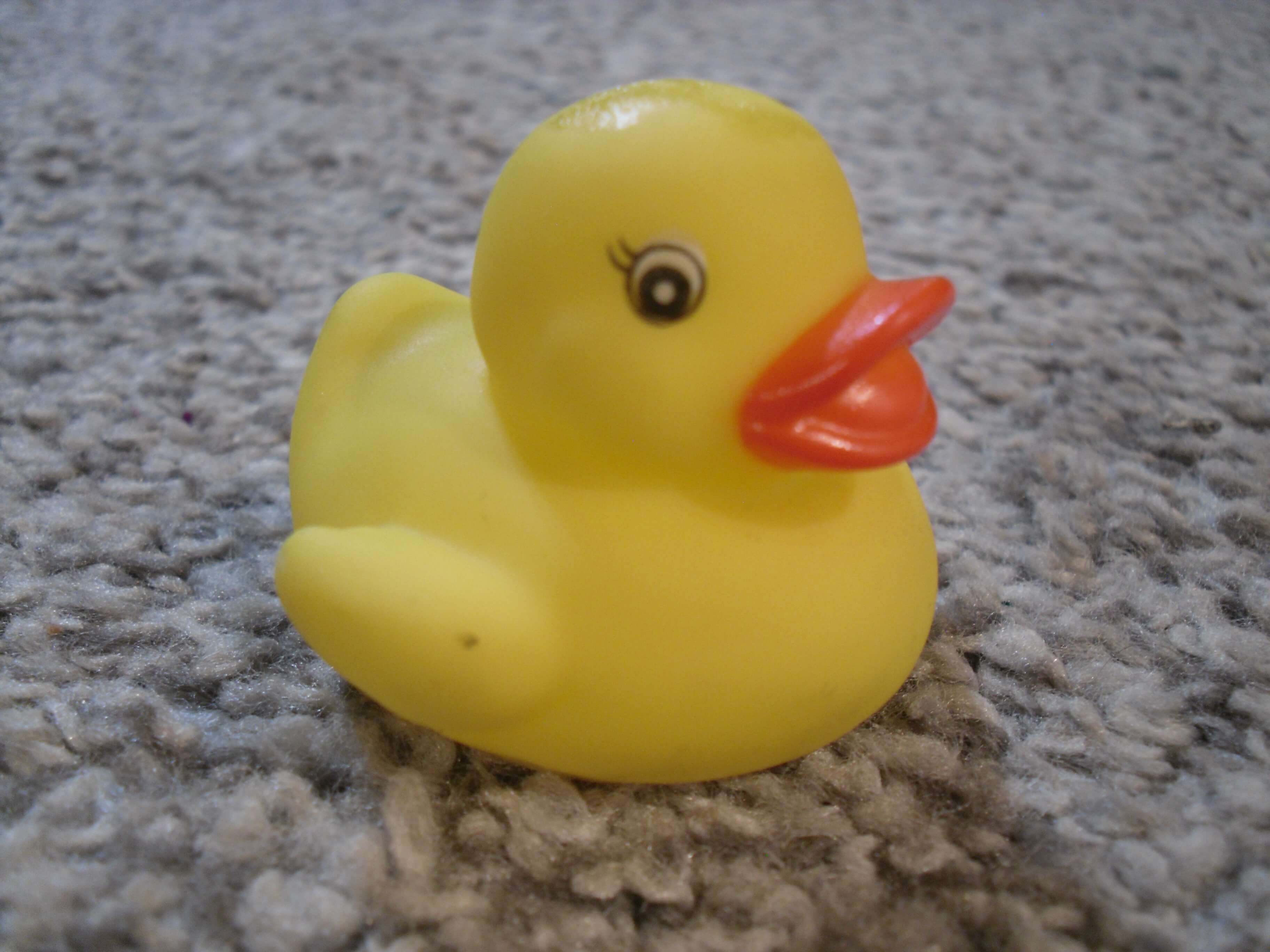 A rubber duck